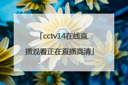 「cctv14在线直播观看正在直播高清」电视台直播在线观看